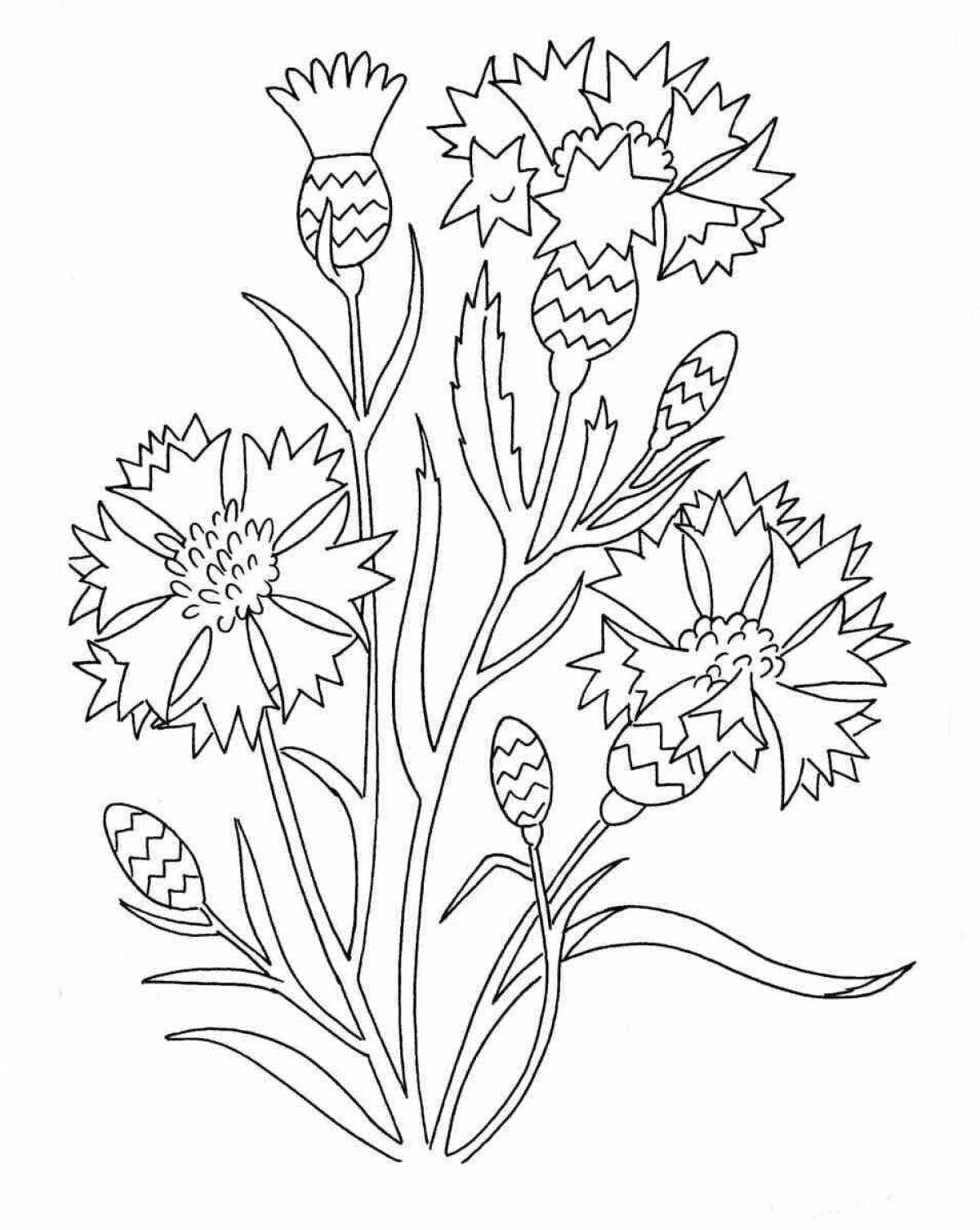 Glorious wild flowers coloring for children