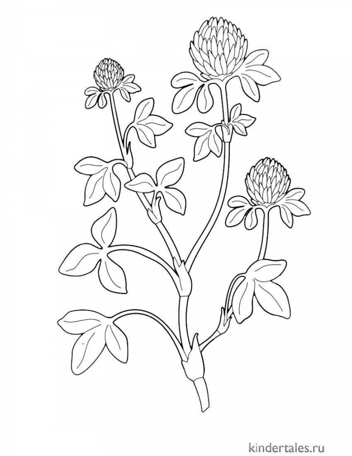 Coloring book jubilant wildflowers for children