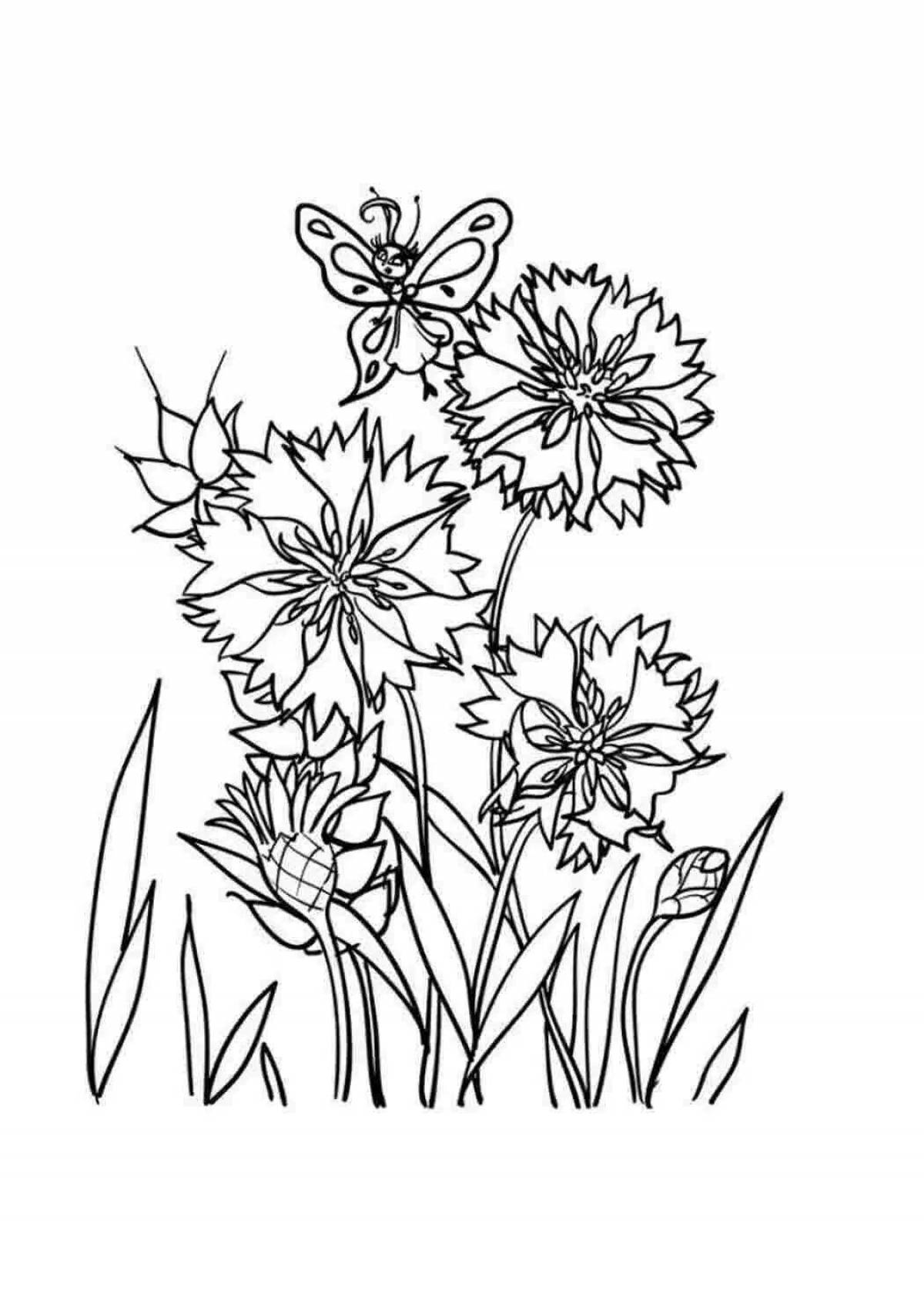 Coloring big wildflowers for kids