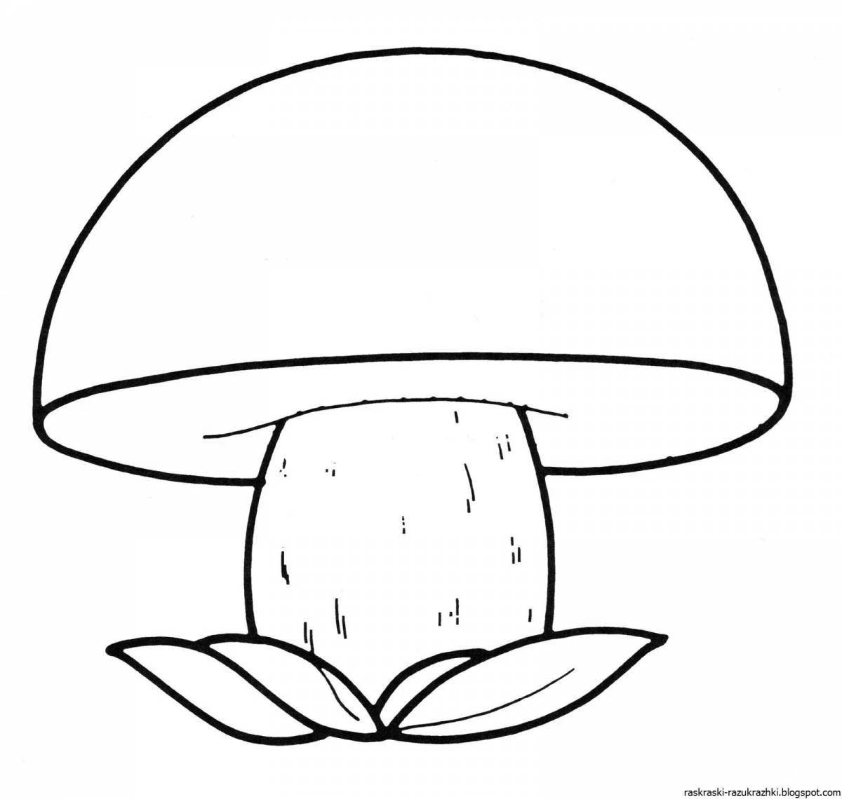 Colorful porcini mushrooms coloring pages for kids