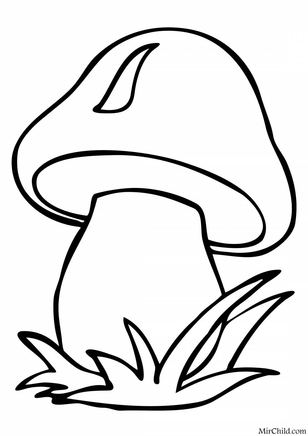 Photo Fun coloring book with porcini mushrooms for kids