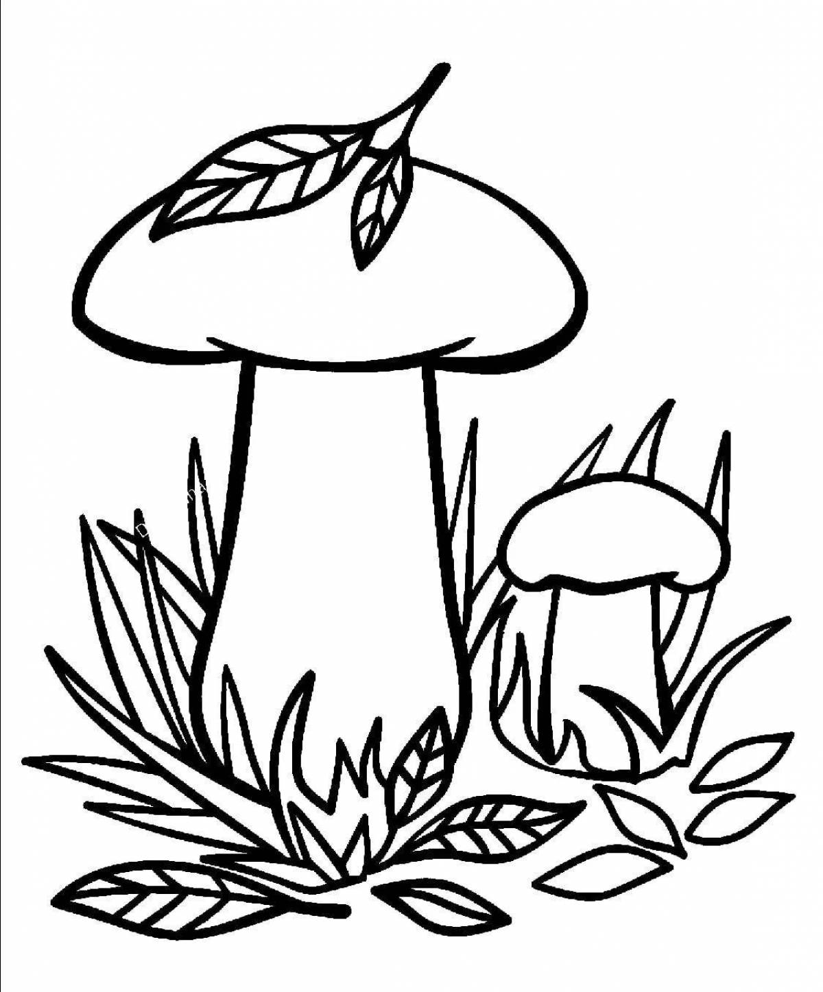 Adorable white mushroom coloring book for kids