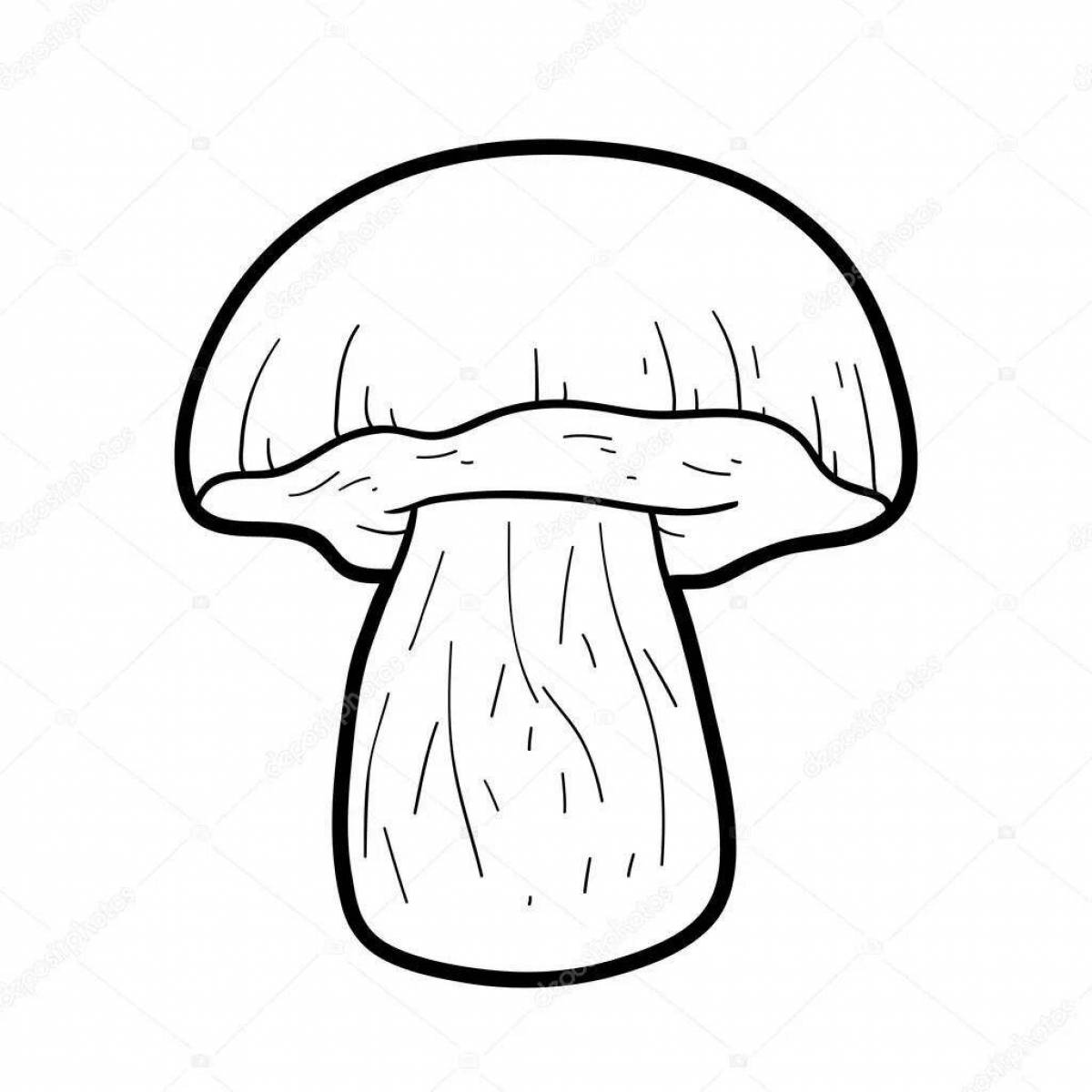 Fabulous porcini mushrooms coloring book for kids