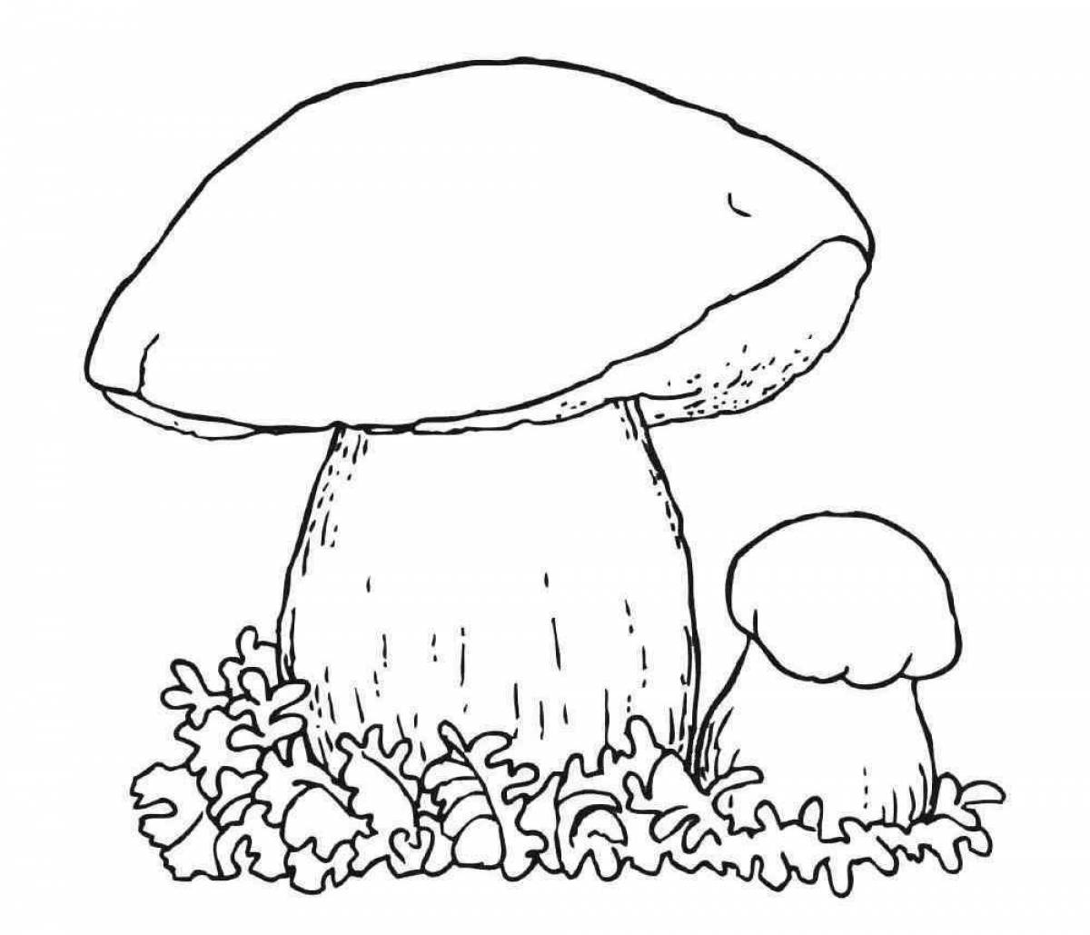Incredible porcini mushroom coloring book for kids