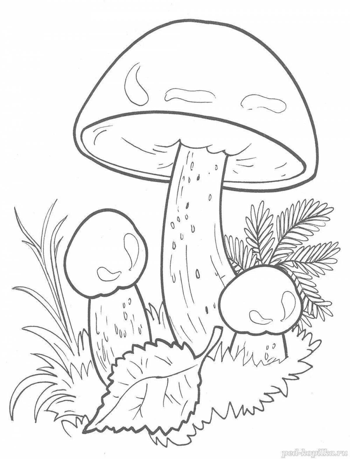 Spectacular coloring with porcini mushrooms for children