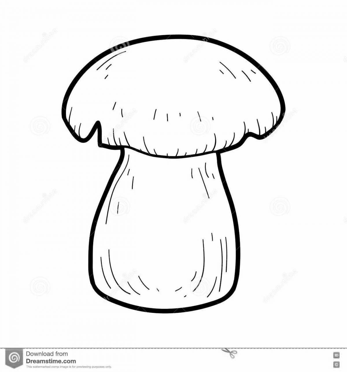 Coloring pages with porcini mushrooms for children