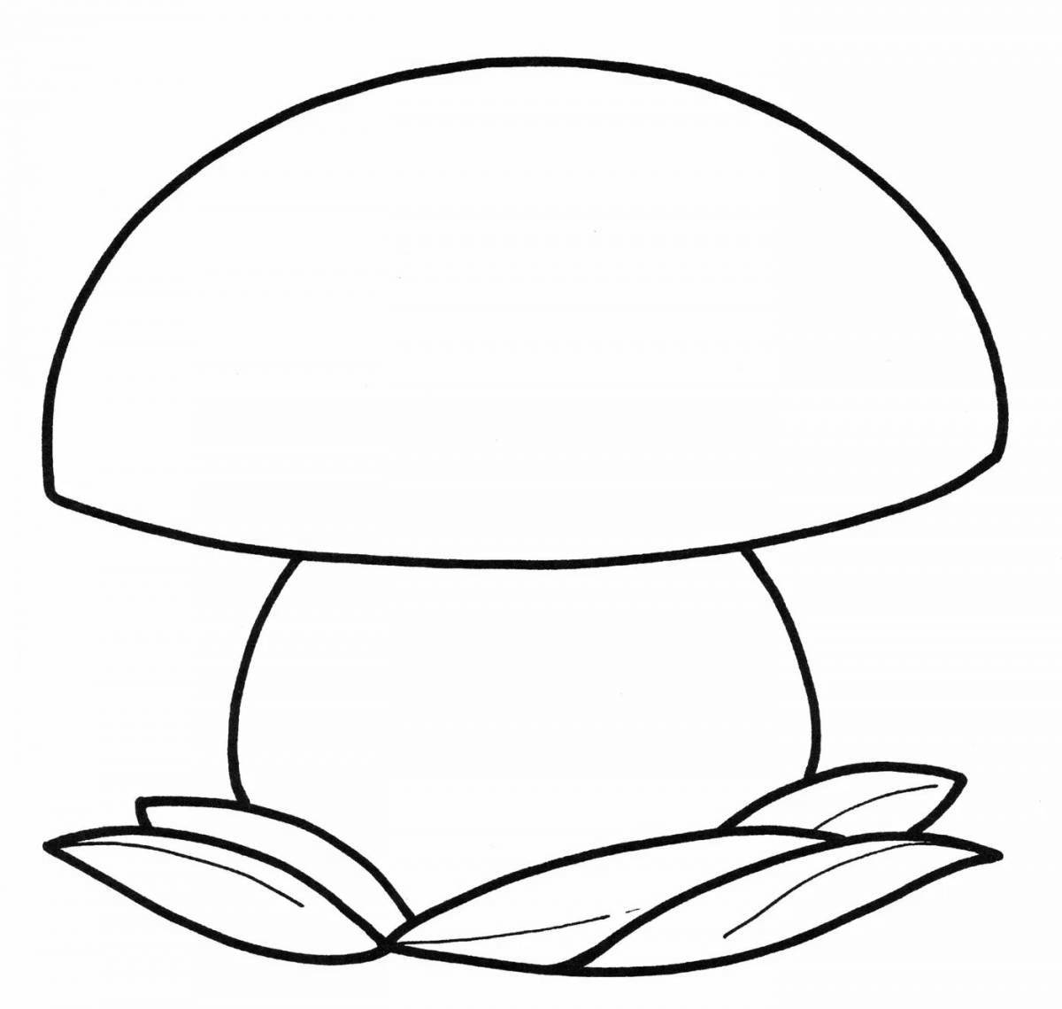 Раскраска очаровательные белые грибы для детей