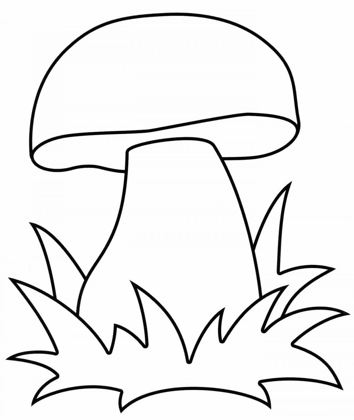 Beautiful coloring pages with porcini mushrooms for children