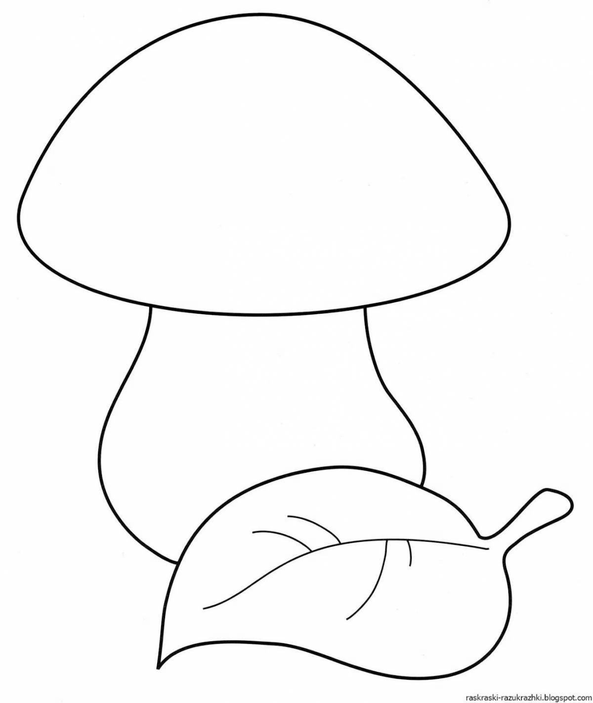 Attractive porcini mushroom coloring book for kids