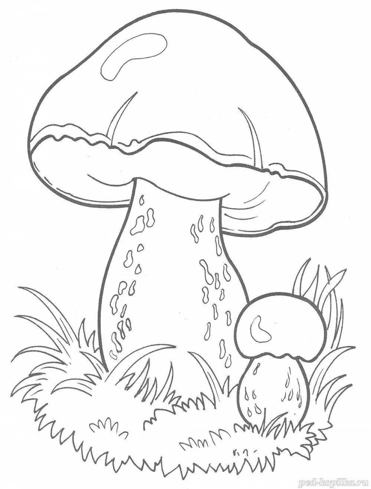 Living white mushrooms coloring for children