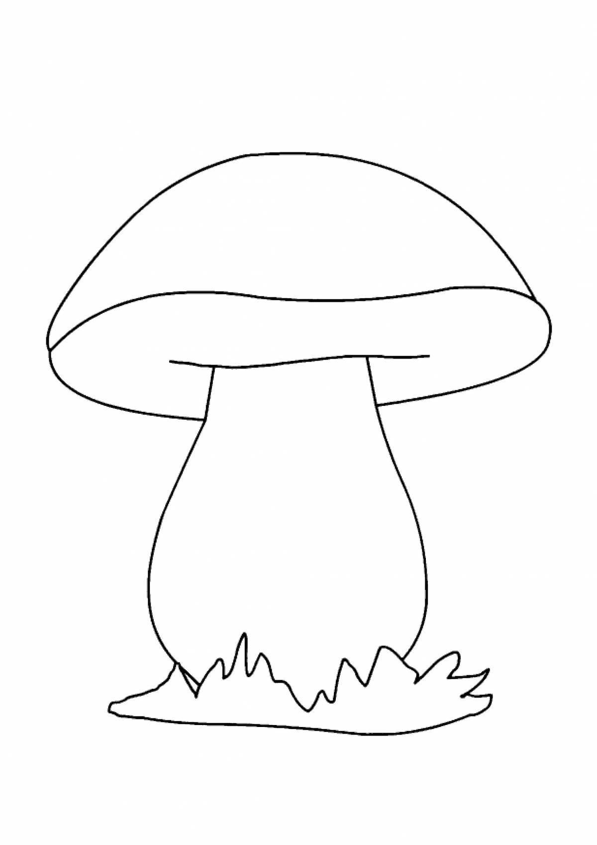 Забавная раскраска с белыми грибами для детей