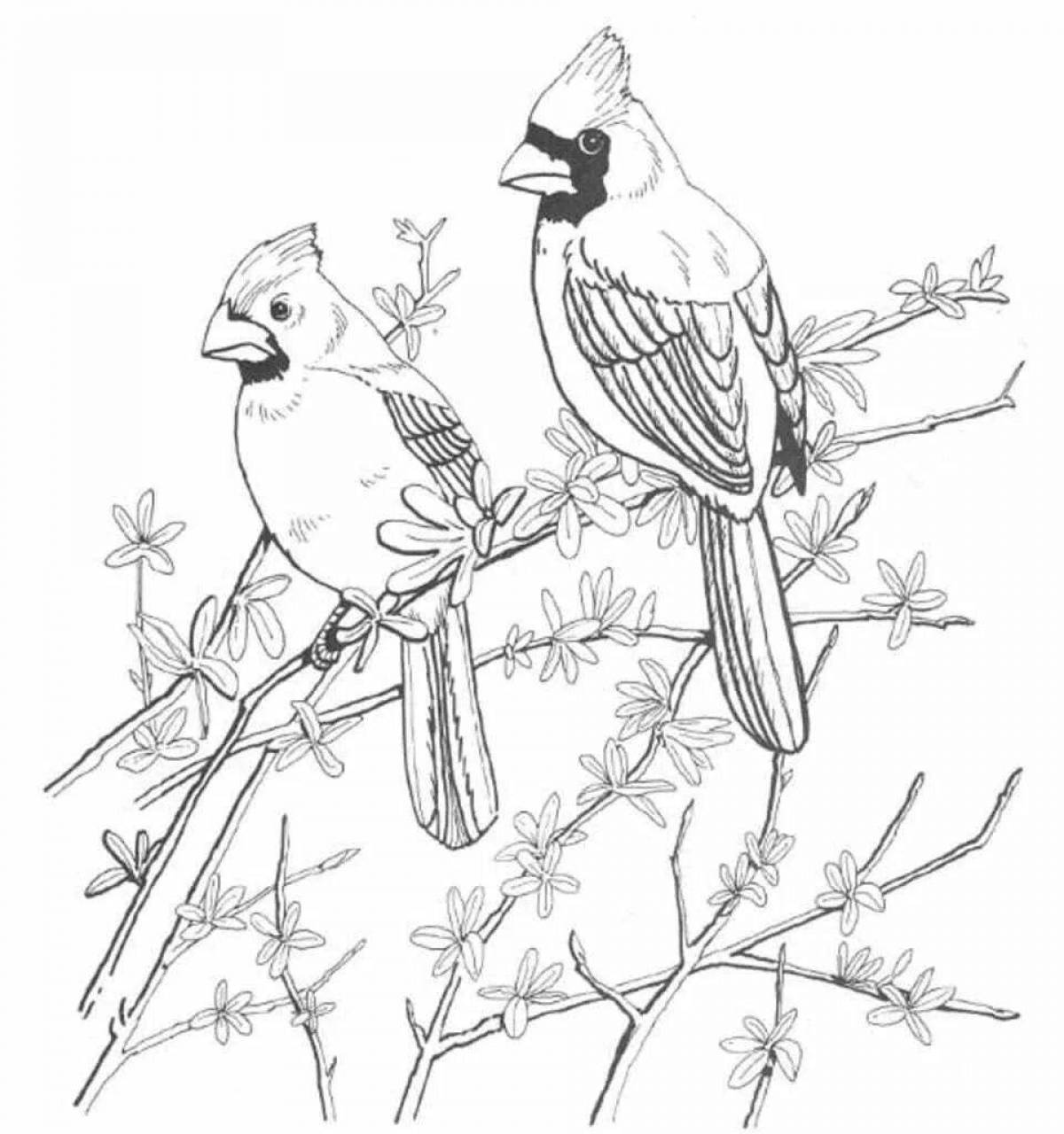 Photo Coloring book cheerful goldfinch for children