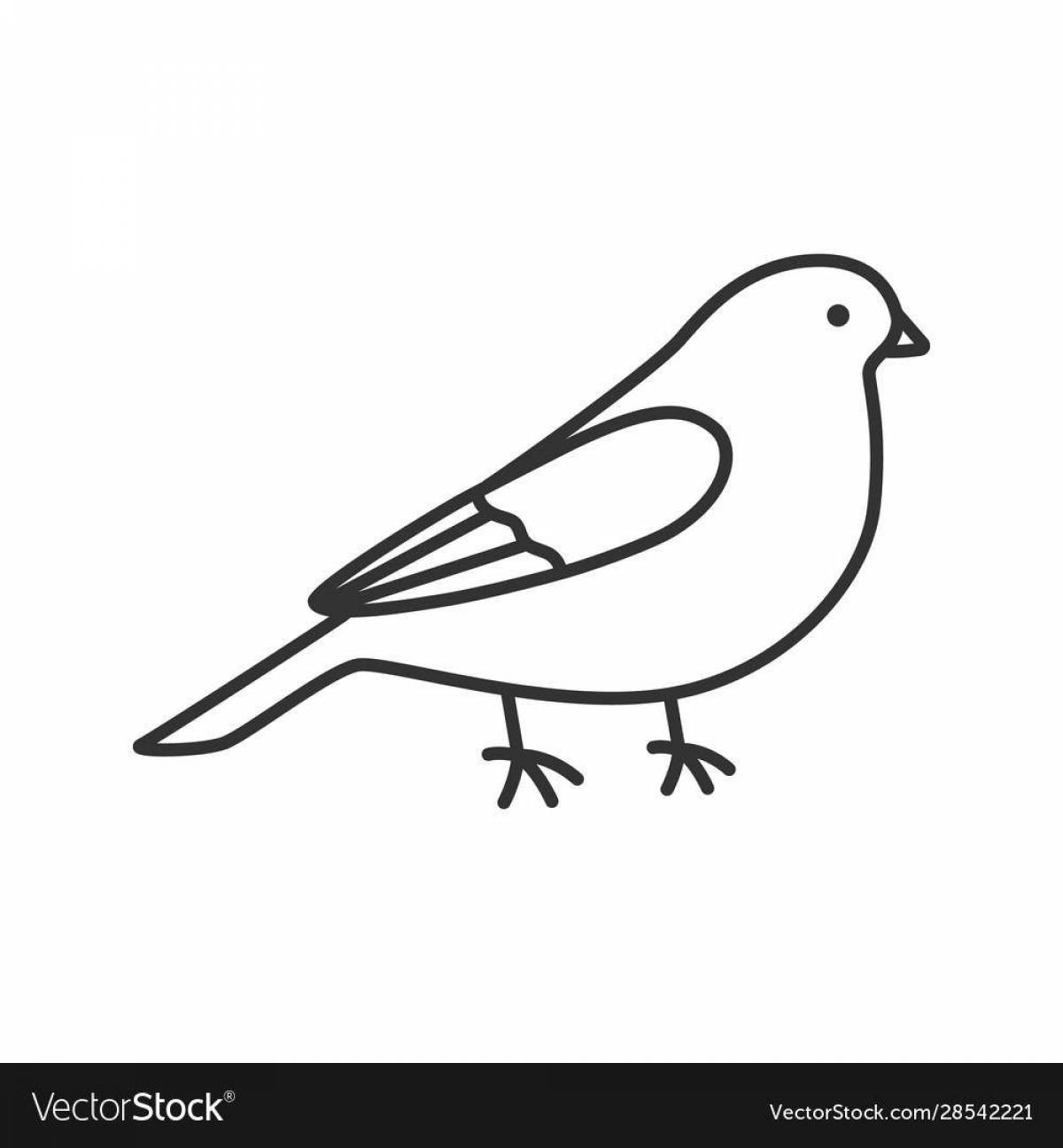 Playful goldfinch coloring book for kids