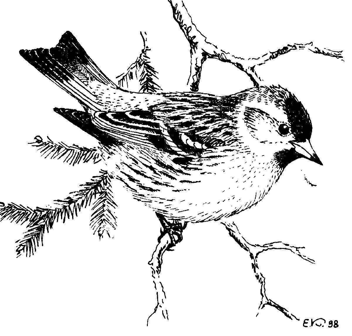 Photo Fun coloring book for kids