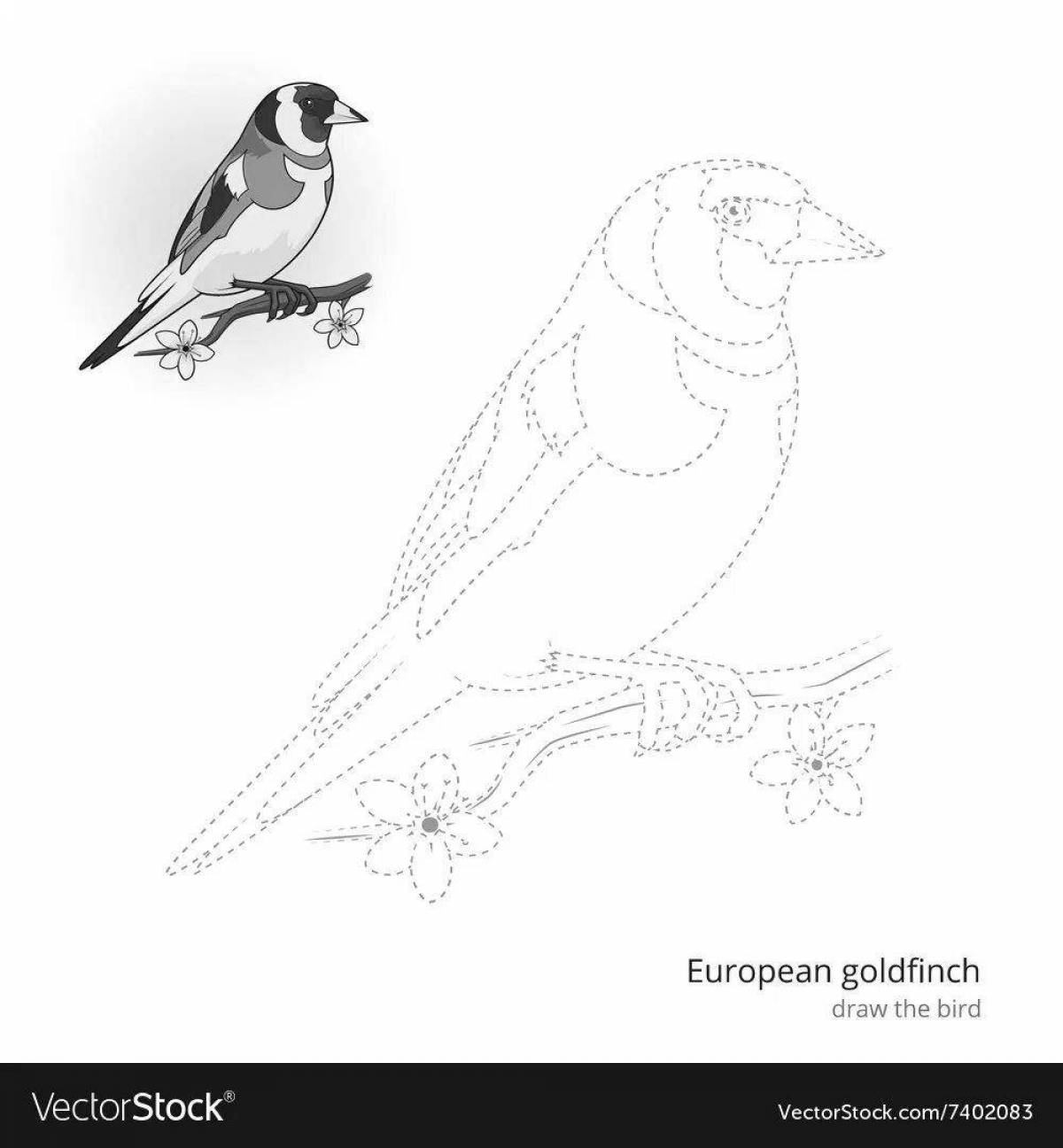 Coloring book dazzling goldfinch for children