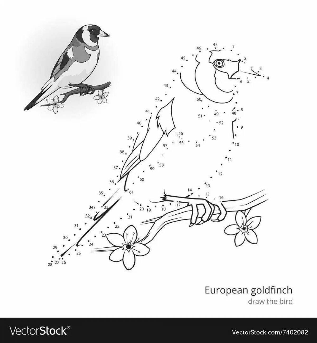 Glittering goldfinch coloring book for kids