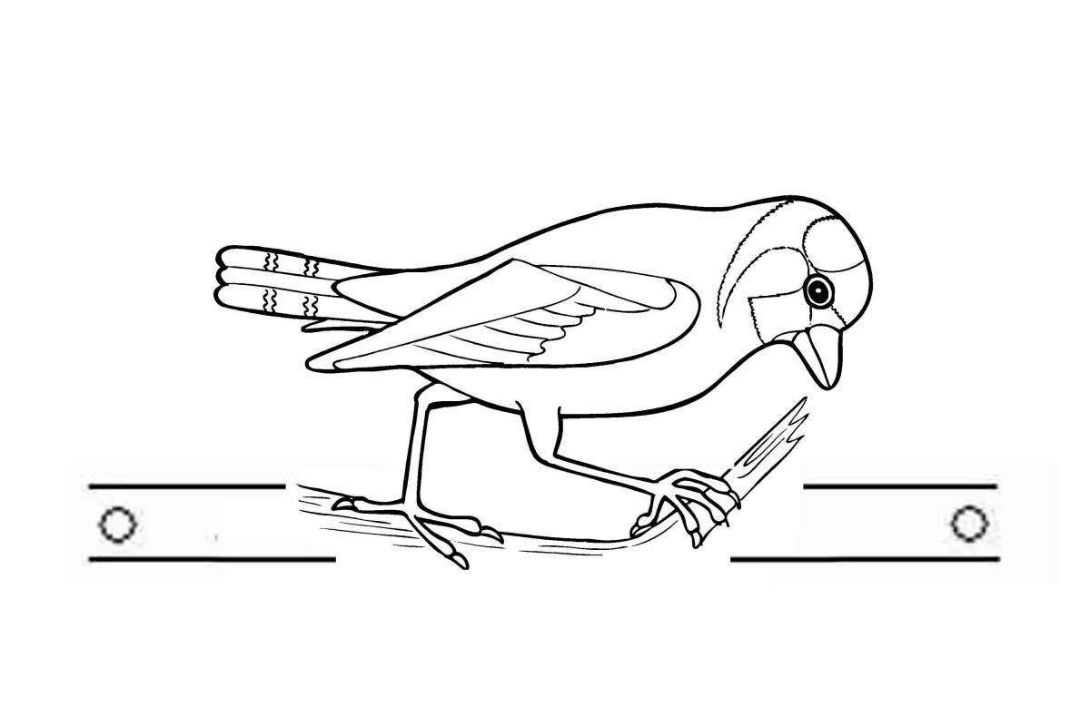Joyful goldfinch coloring book for kids