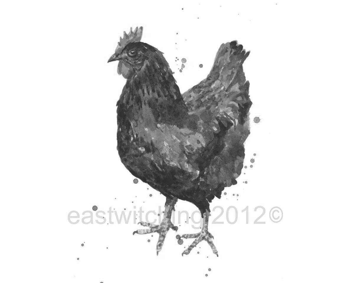Colorful black chicken coloring page