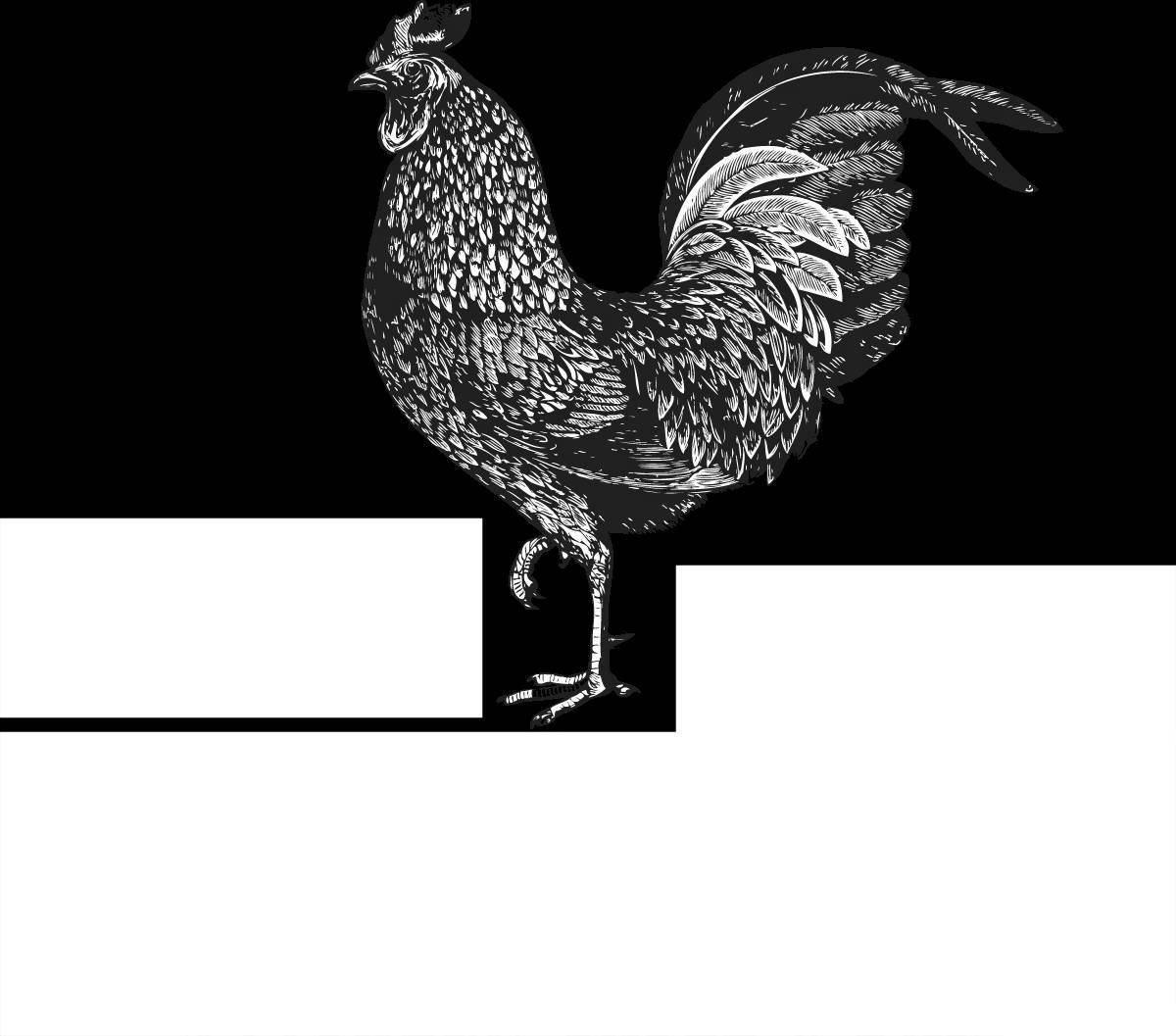 Рисунок к рассказу черная курица раскраска (45 фото)