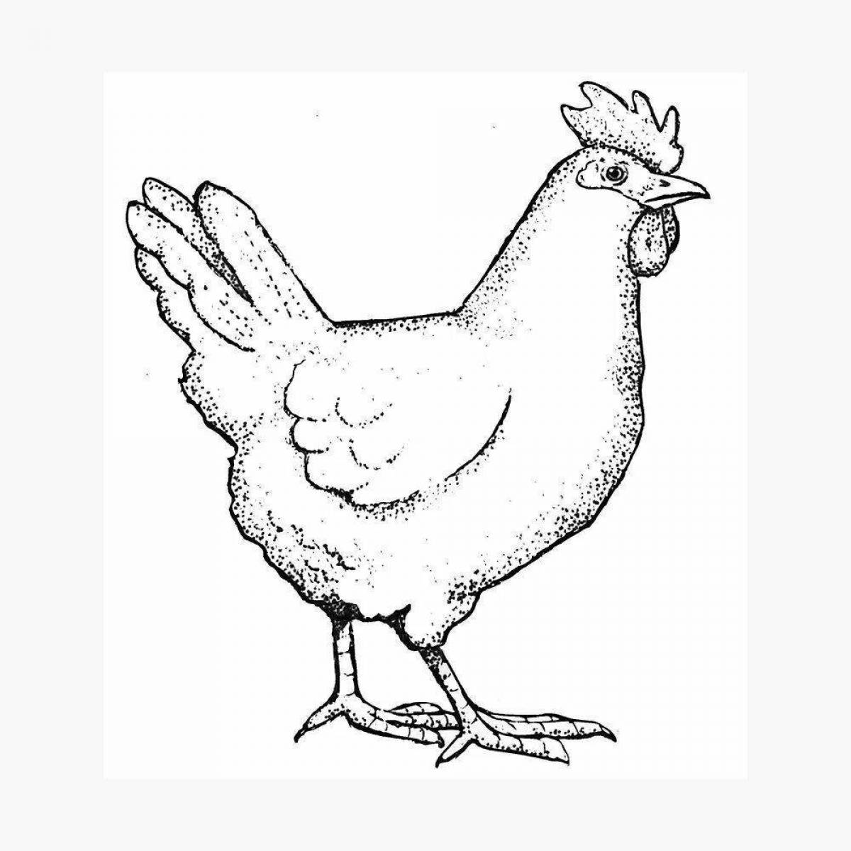 Shiny black chicken coloring page