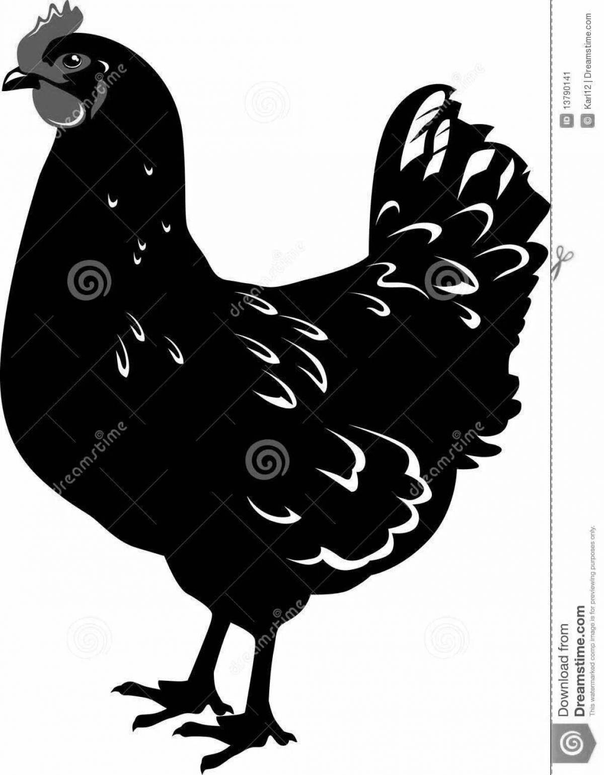 Coloring page gorgeous black chicken