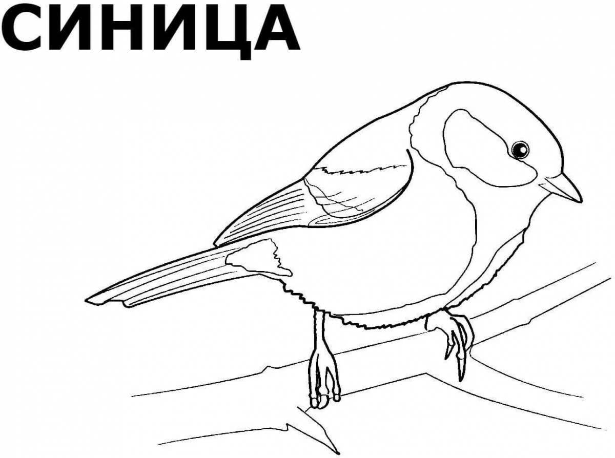 Playful tit bird coloring pages for kids