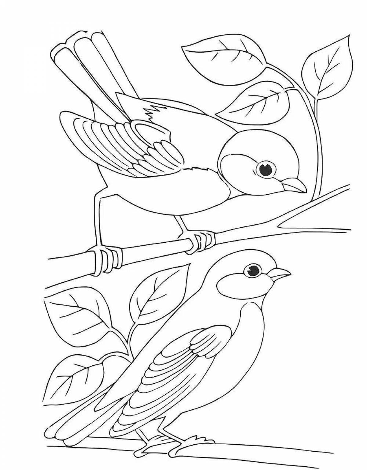 Fun coloring pages for kids