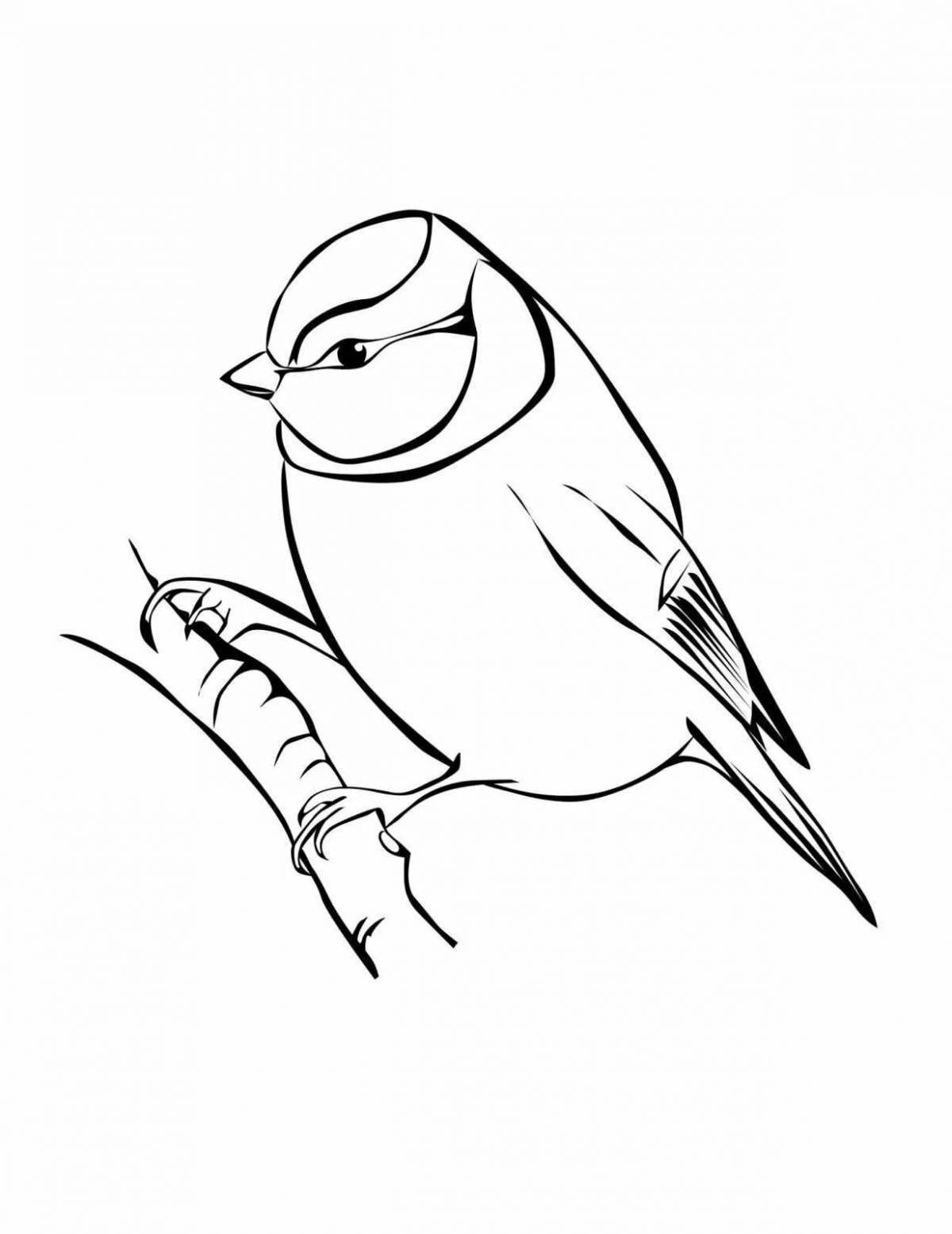 Adorable titmouse bird coloring book for kids