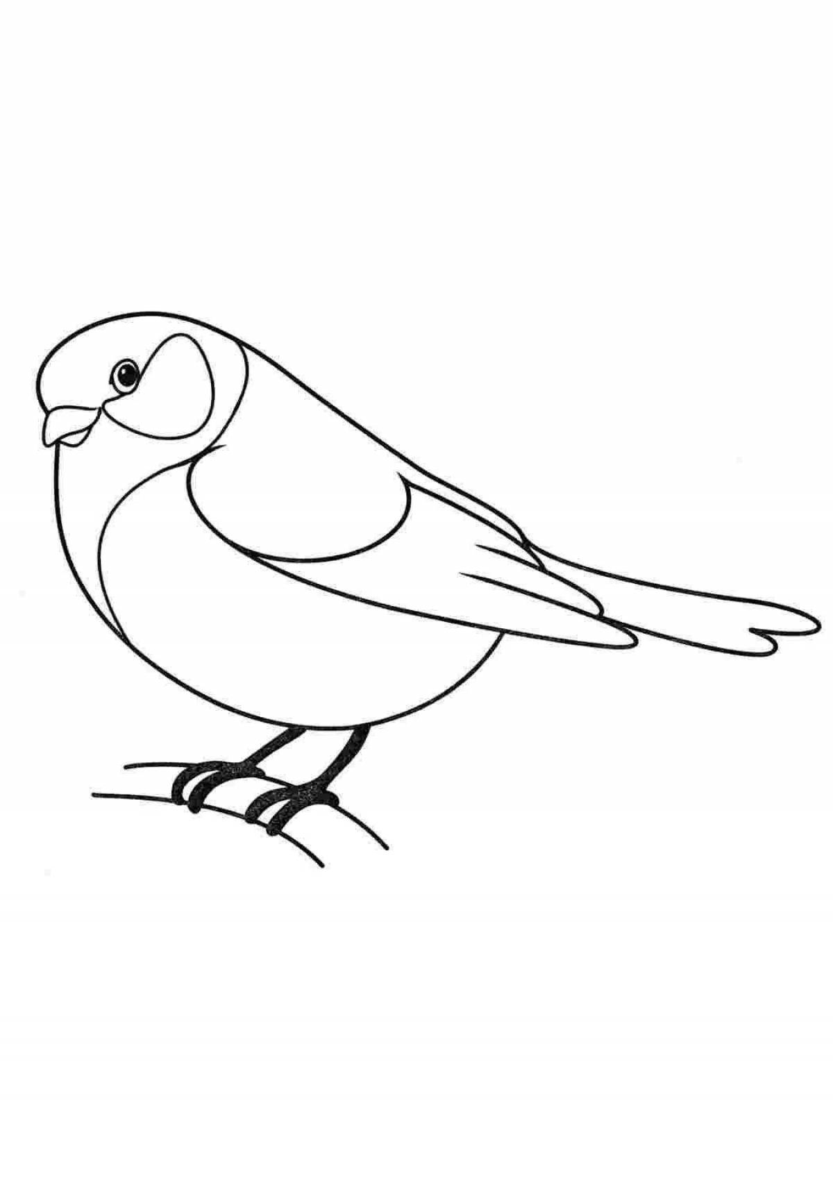 Glittering tits bird coloring book for kids