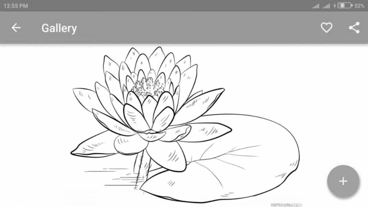 Delightful white water lily coloring book