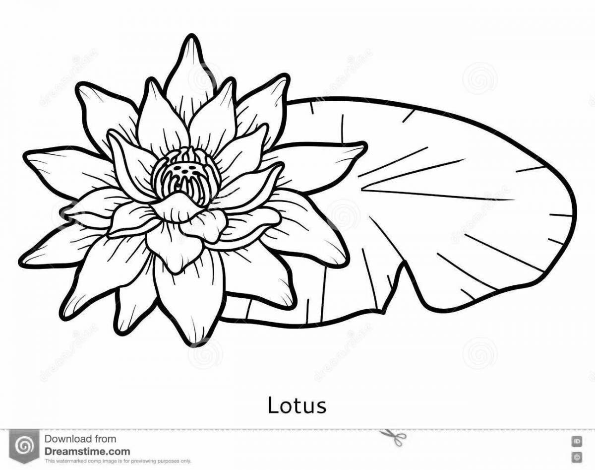 Coloring book shining white water lily