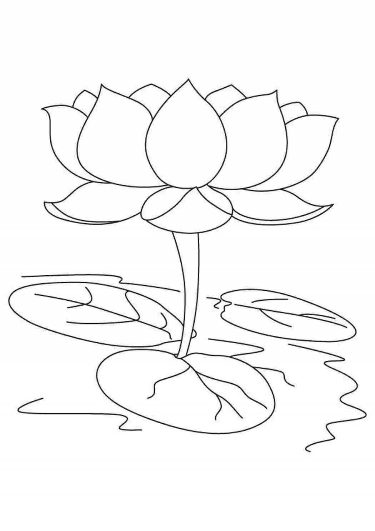 Exquisite white water lily coloring book