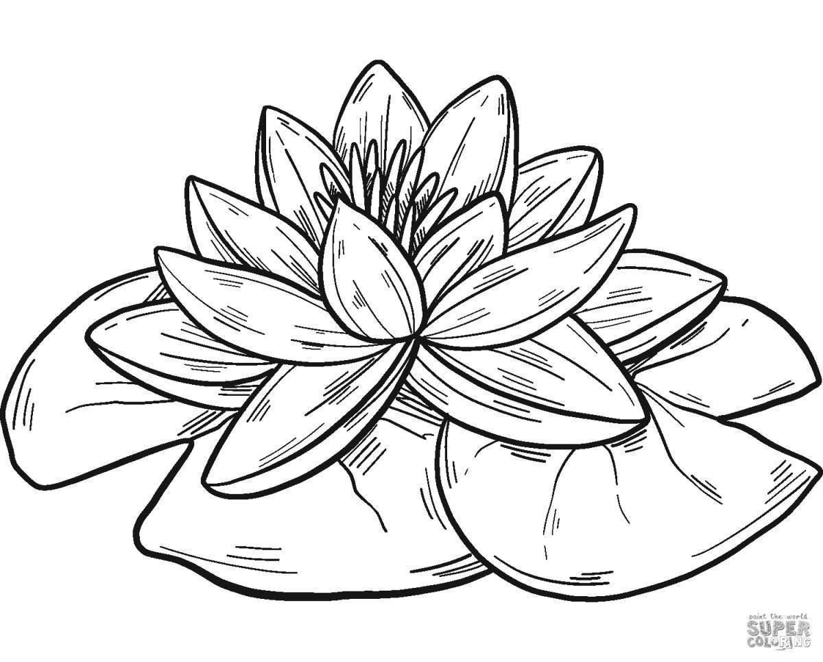 Amazing white water lily coloring book