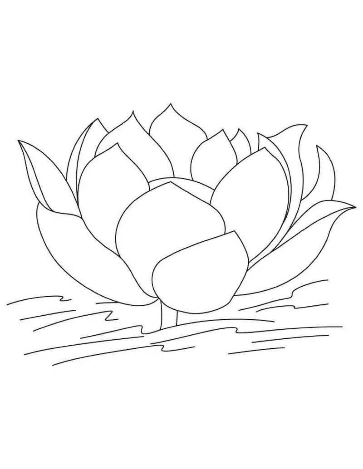 Adorable white water lily coloring page