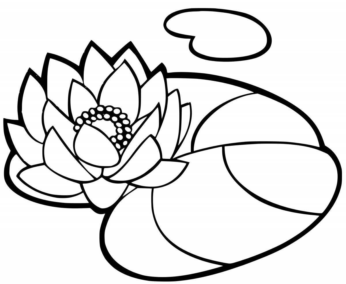Coloring page graceful white water lily