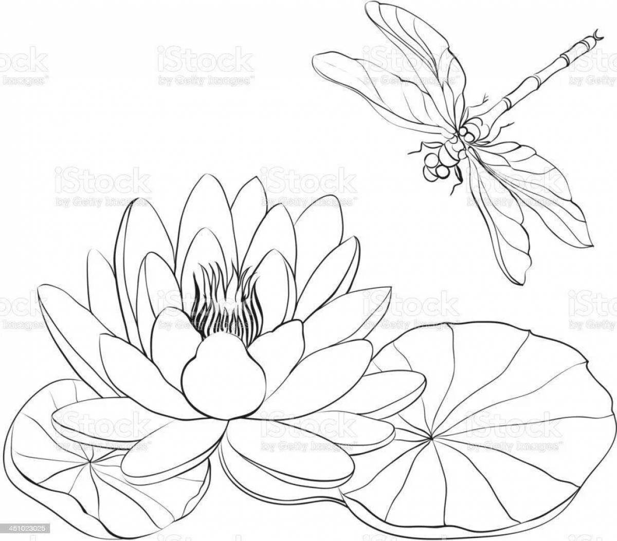 Coloring poetic white water lily