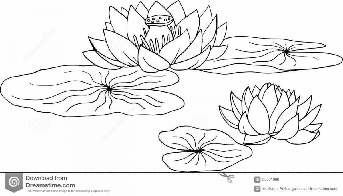 Aesthetic white water lily coloring