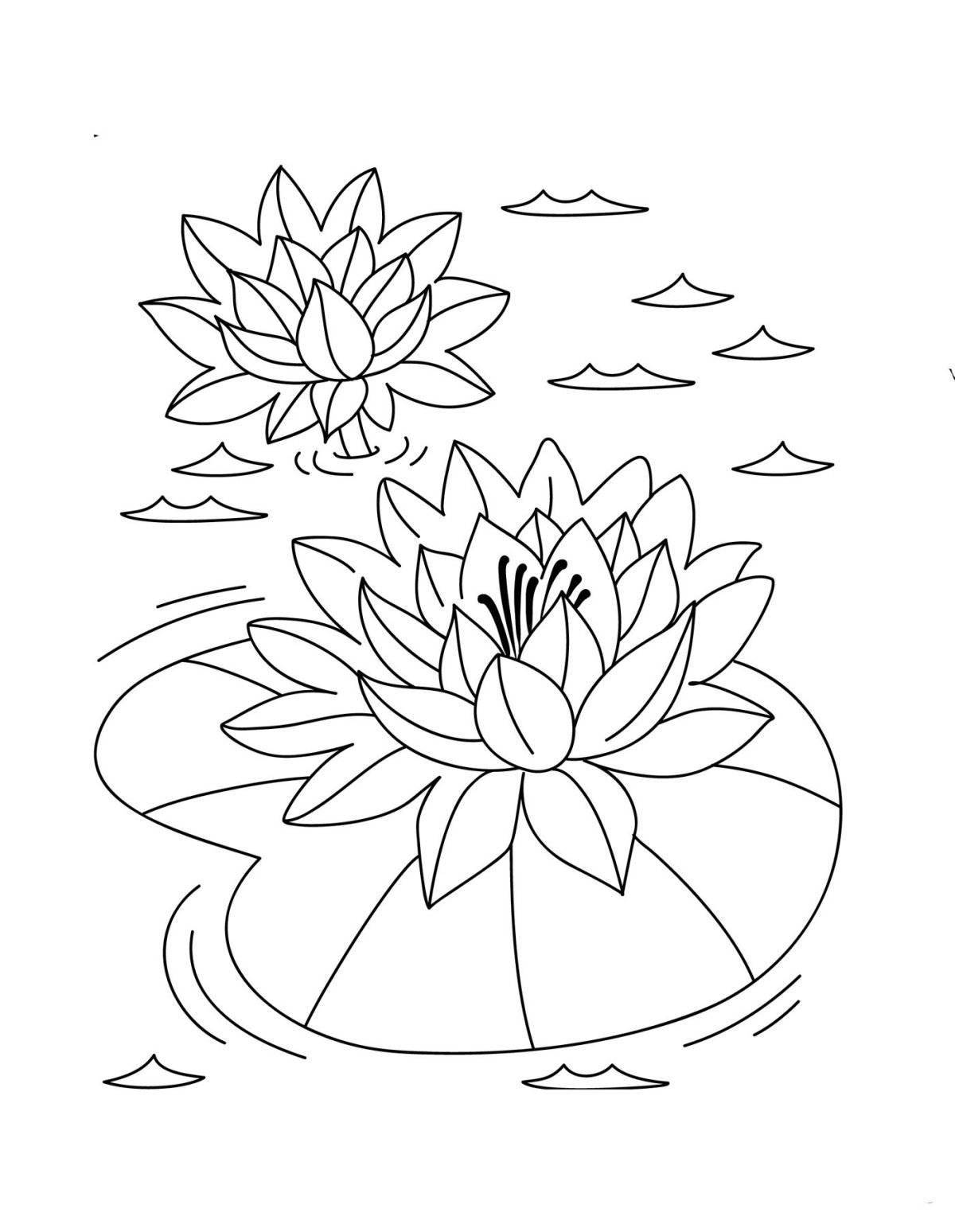 Painting white water lily coloring