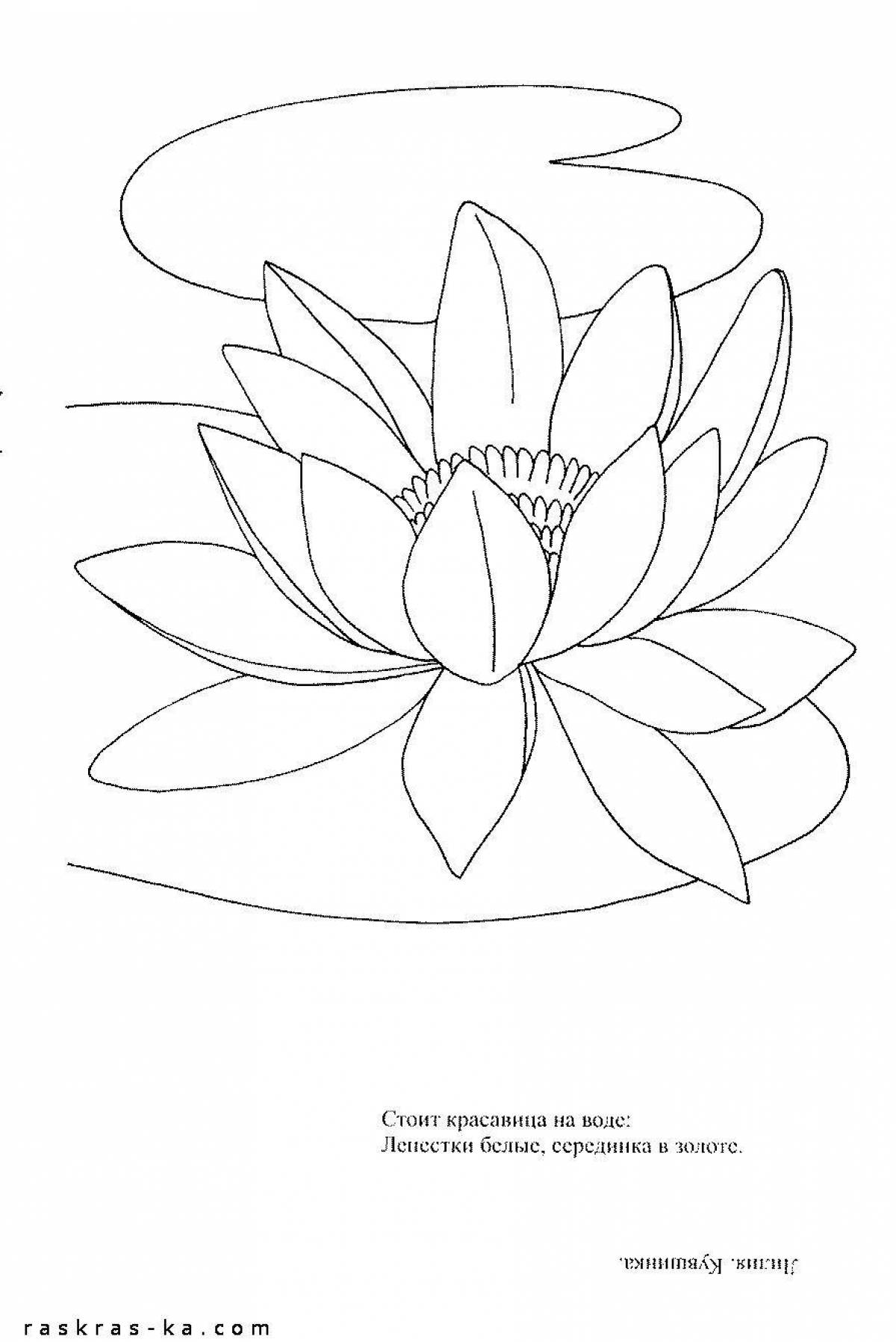 Idyllic white water lily coloring book