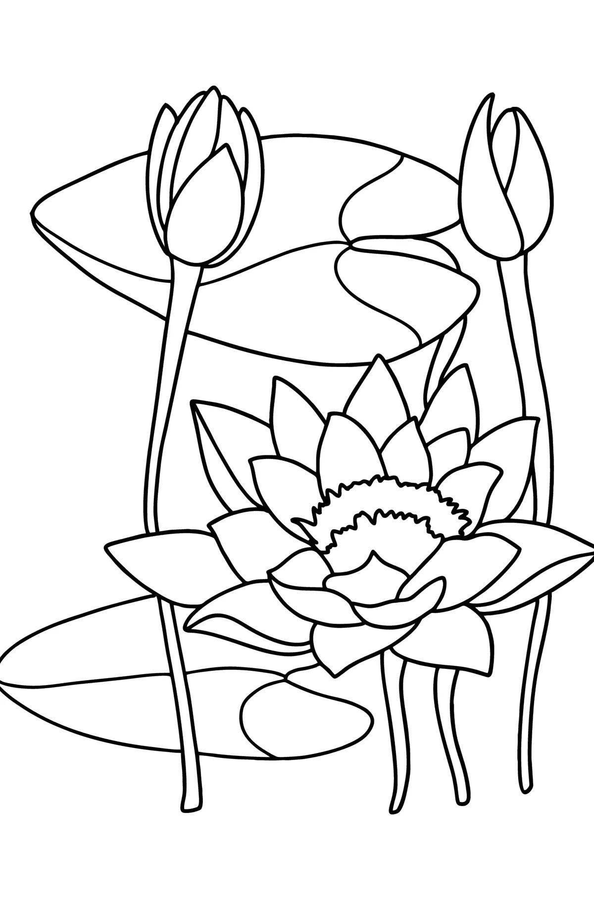Lucky white water lily coloring page