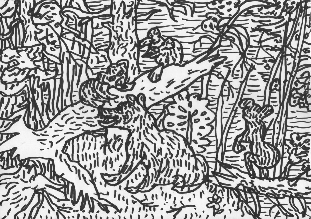 Photo Majestic morning in the pine forest shishkin