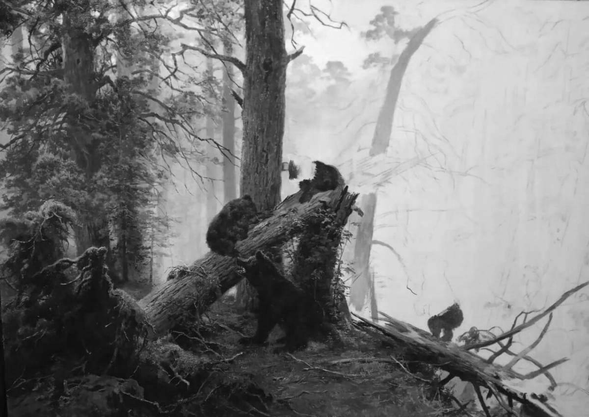 Photo Wonderful morning in the pine forest shishkin