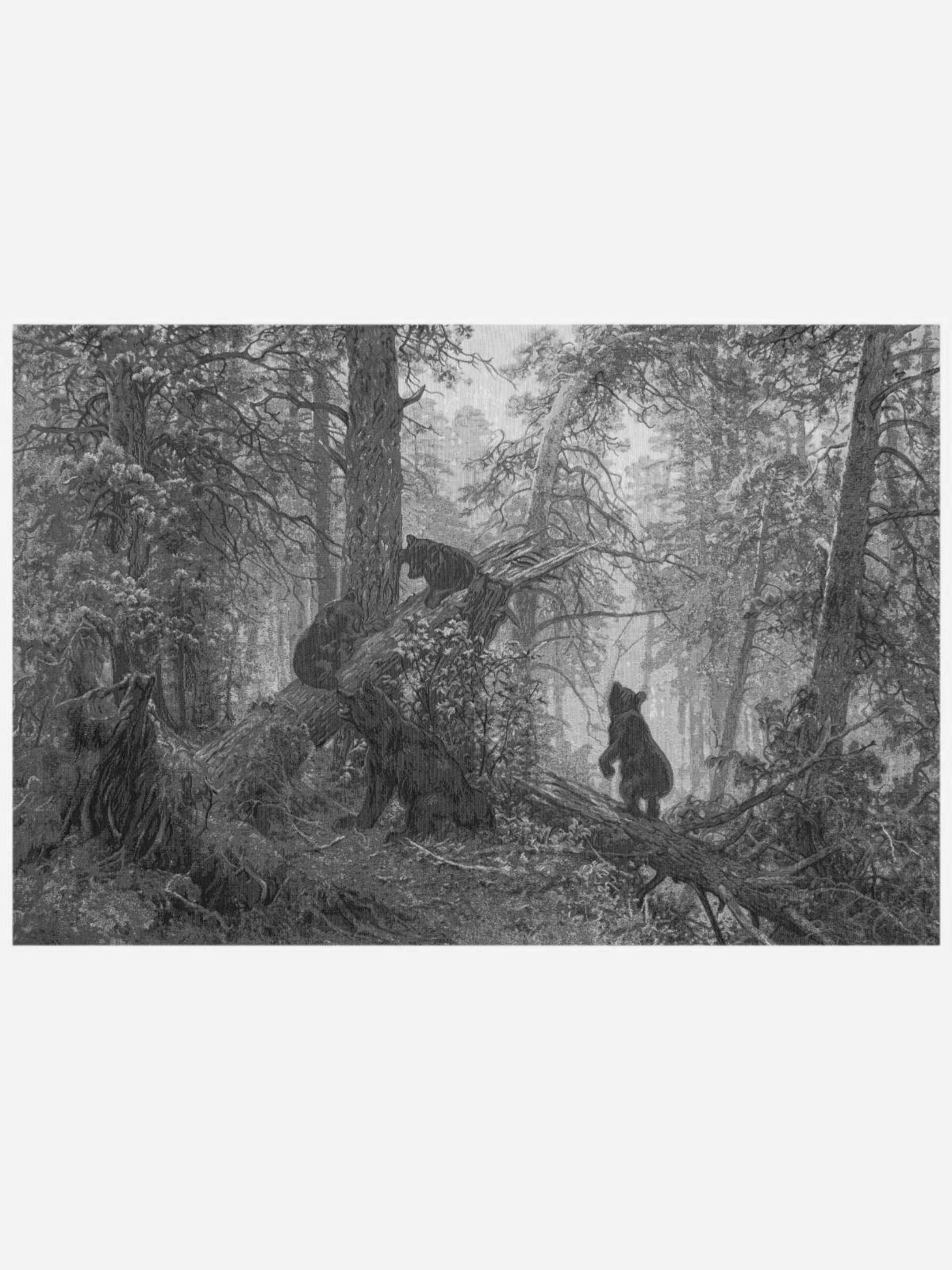 Photo Scenic morning in the pine forest Shishkin