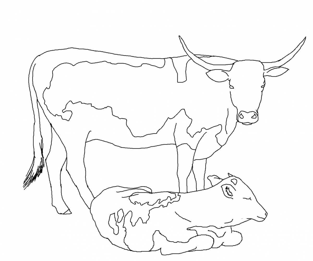 Coloring book solar cow and calf