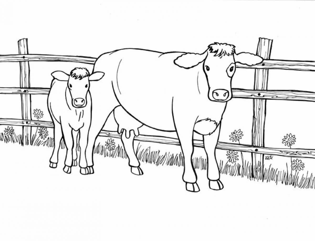 Crazy cow and calf coloring page