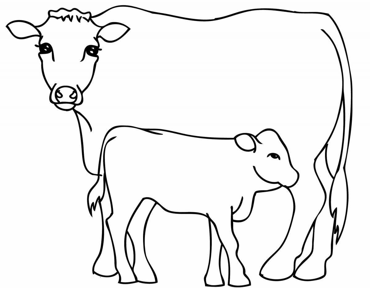 Colorful cow and calf coloring book