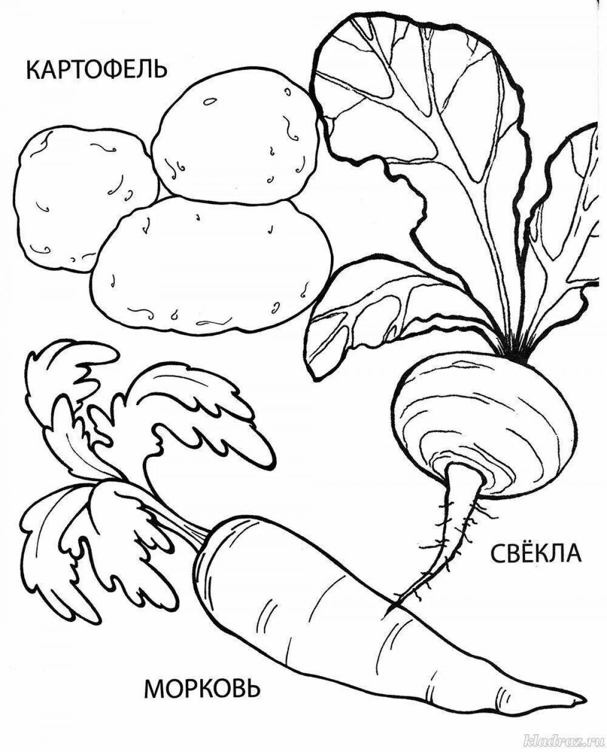 Comfortable vegetable coloring book for kids