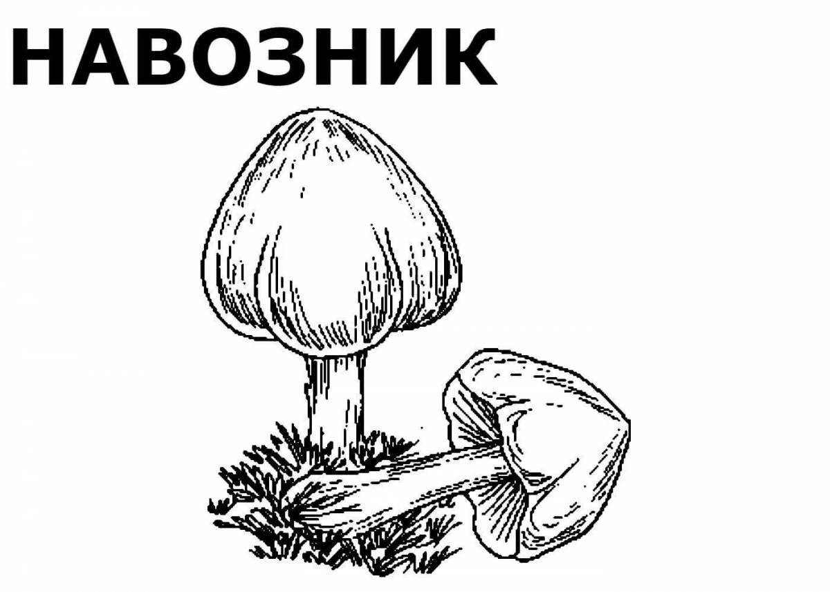 Happy mushroom coloring book for kids