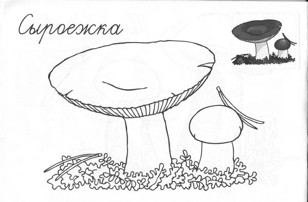 Ежик с грибами