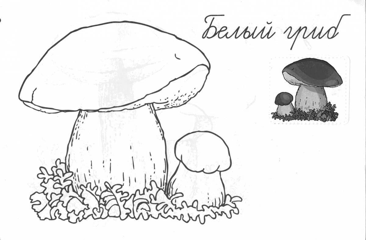 Coloring book with radiant mushrooms for children